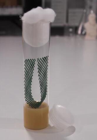drosophila-media-tubes.jpg