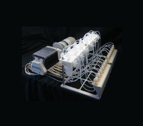 三维灌流表型生物反应器