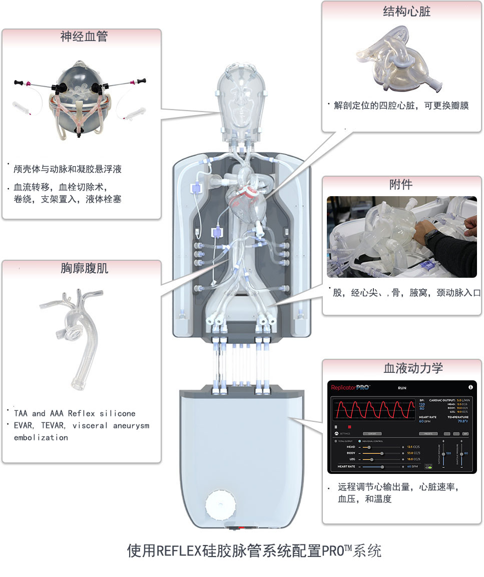 心血管模拟仿真系统及血管动力学