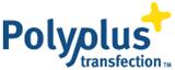 Polyplus transfection