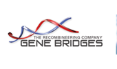 Gene Bridges