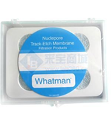 Whatman定性圆形滤纸150mm