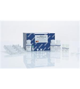 QIAGEN 210210 OneStep RT-PCR Kit