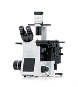 奥林巴斯倒置显微镜IX53 三目/摄像/相差/荧光