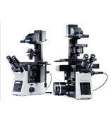 奥林巴斯倒置显微镜IX73 三目/摄像/相差/荧光 OLYMPUS