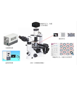 Labomed代理,LB702，+ 细胞牵引力显微镜 +cell mechanics analyze