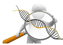 deoxyribonucleic-acid-1500068__340.jpg