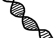 dna-312438__340.jpg